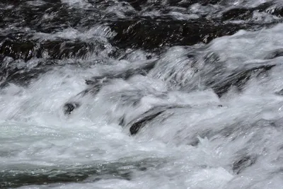 DSC_3615 (Large).JPG